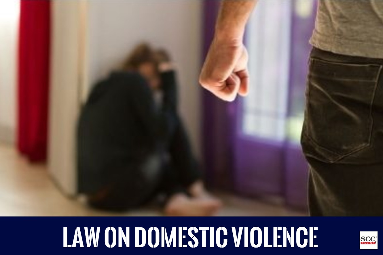 Law on Domestic Violence [Protection of Women from Domestic Violence ...