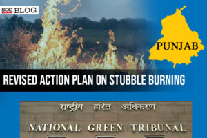 revised action plan on stubble burning in Punjab
