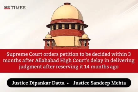 14-month delay in judgment