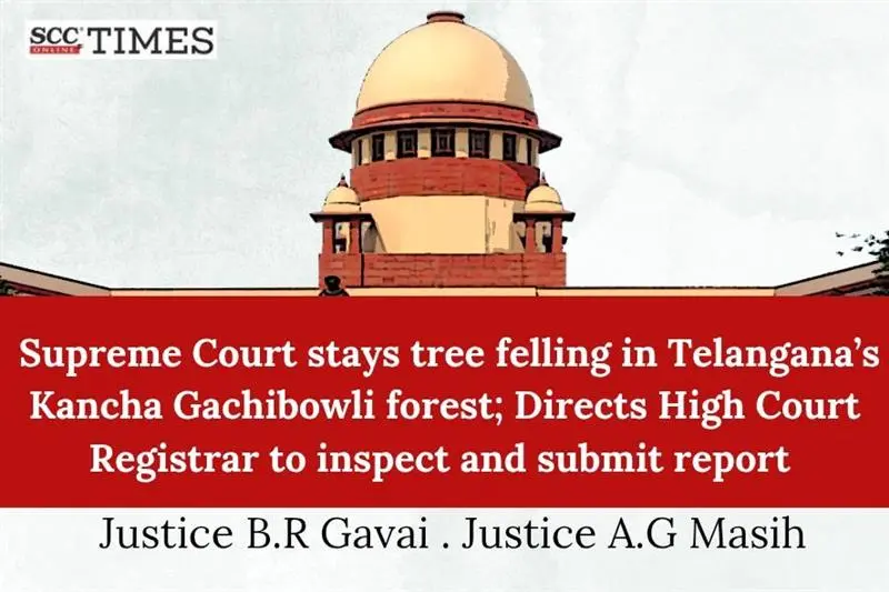 Kancha Gachibowli forest deforestation