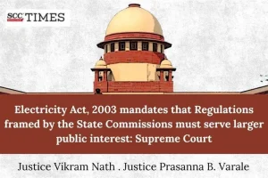 electricity act public interest