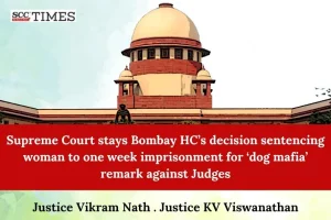 Dog Mafia Judges