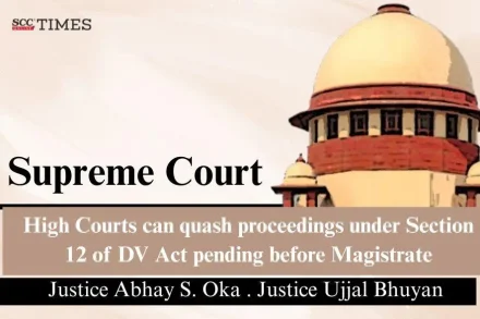 High Courts inherent jurisdiction DV Act