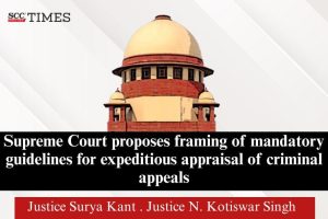 framing mandatory guidelines criminal appeals