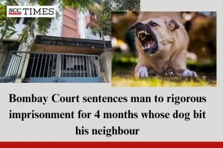 Dog Bite Neighbour