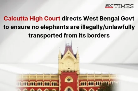 Illegal elephant transportation