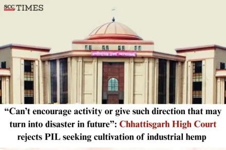 Cultivation of industrial hemp