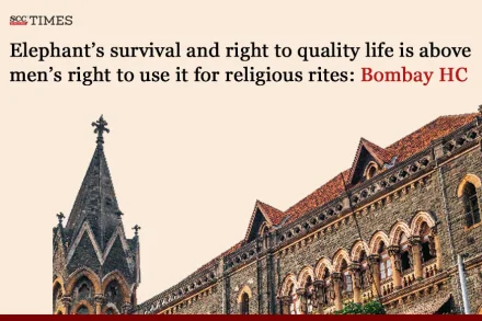 Elephant’s right to quality life