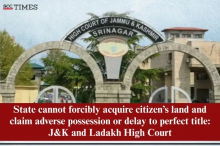 State adverse possession over private land