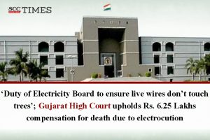 electricity board duty wire trees