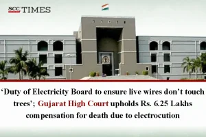electricity board duty wire trees