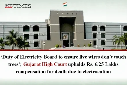 electricity board duty wire trees