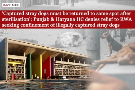 illegally captured stray dogs