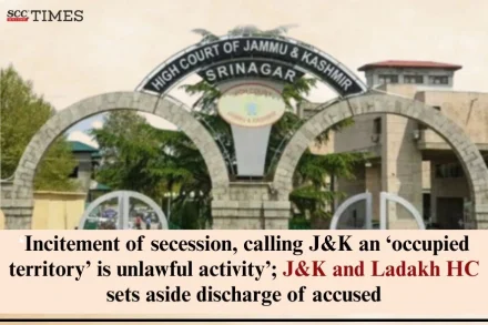 inciting J&K secession unlawful activity