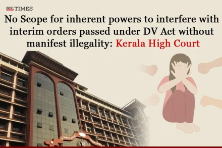 inherent powers DV Act