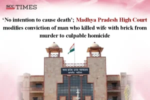 man who killed wife with brick