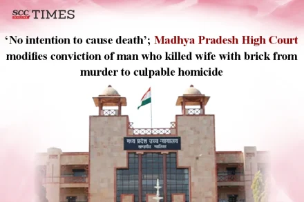 man who killed wife with brick