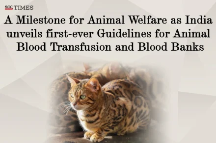 Animal Blood Transfusion