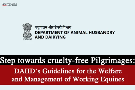 Guidelines for Working Equines