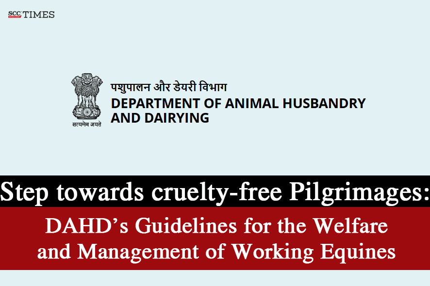 Guidelines for Working Equines