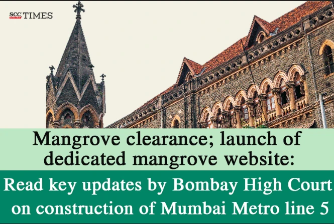 Mumbai metro mangrove clearance