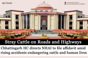 Stray Cattle on roads