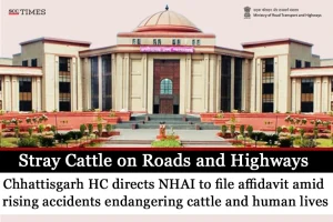 Stray Cattle on roads