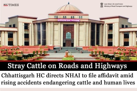 Stray Cattle on roads