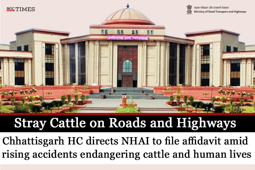 Stray Cattle on roads