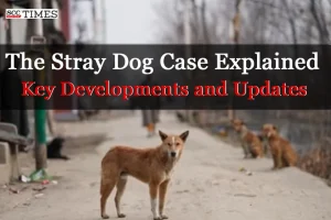 Stray Dog Case