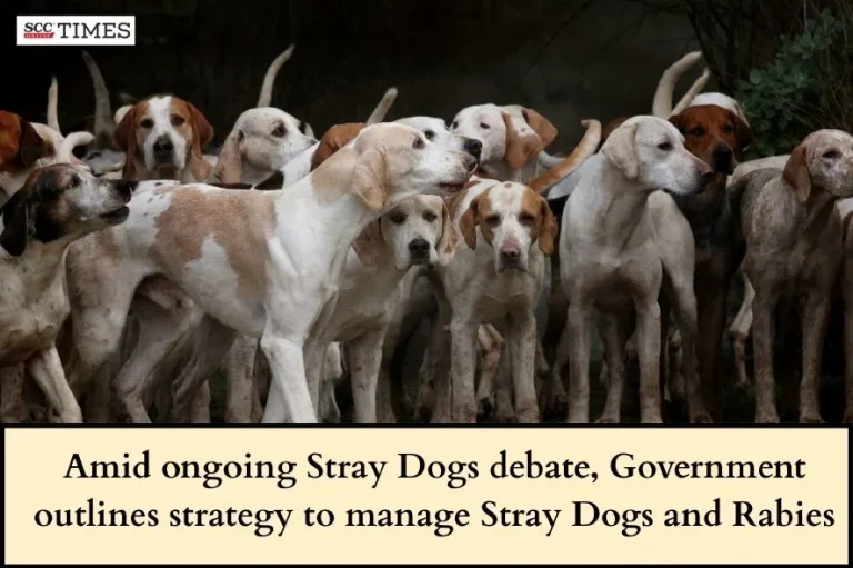 Amid ongoing Stray Dogs debate, Government outlines strategy to manage Stray Dogs and Rabies