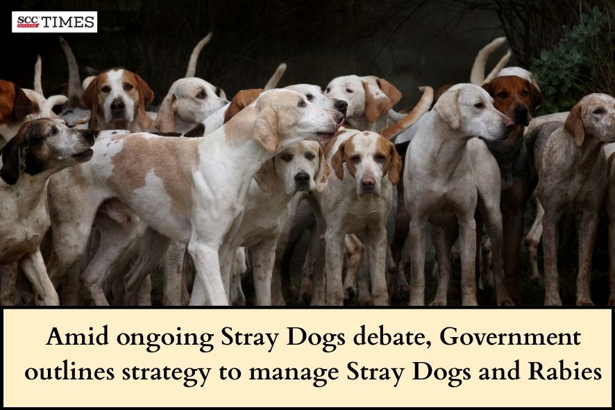 Stray Dogs Policy & Rabies Control in India | SCC Times