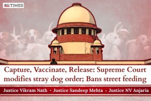 Supreme Court stray dogs