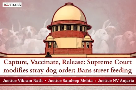 Supreme Court stray dogs