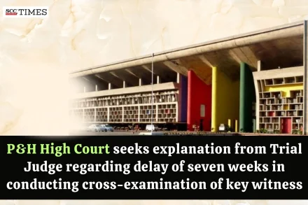 explanation for delay in cross-examination