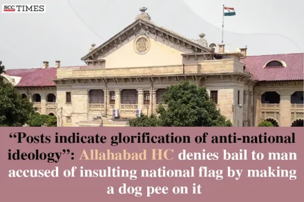 Insulting National Flag