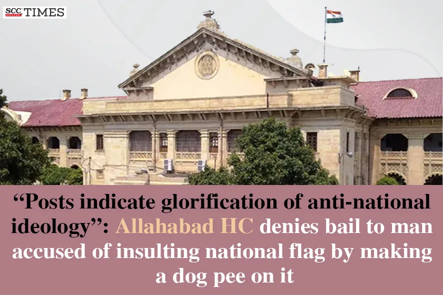 Insulting National Flag