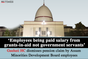 employees being paid from grants-in-aid not government employees