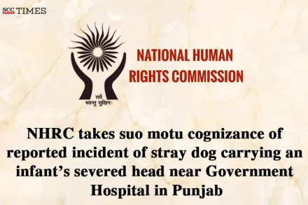 stray dog carrying infant's severed head