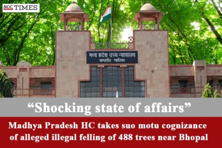 Felling Of 488 Trees