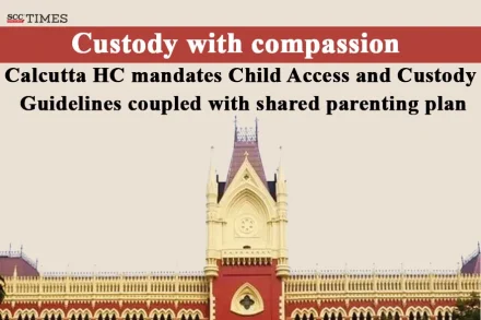 child access and custody guidelines