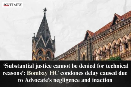 delay caused due to advocate's negligence