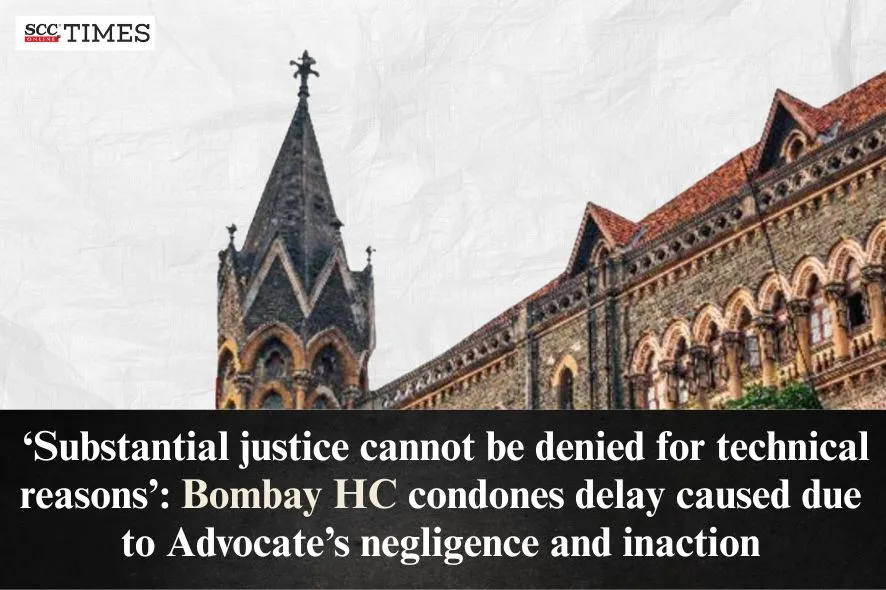 delay caused due to advocate's negligence