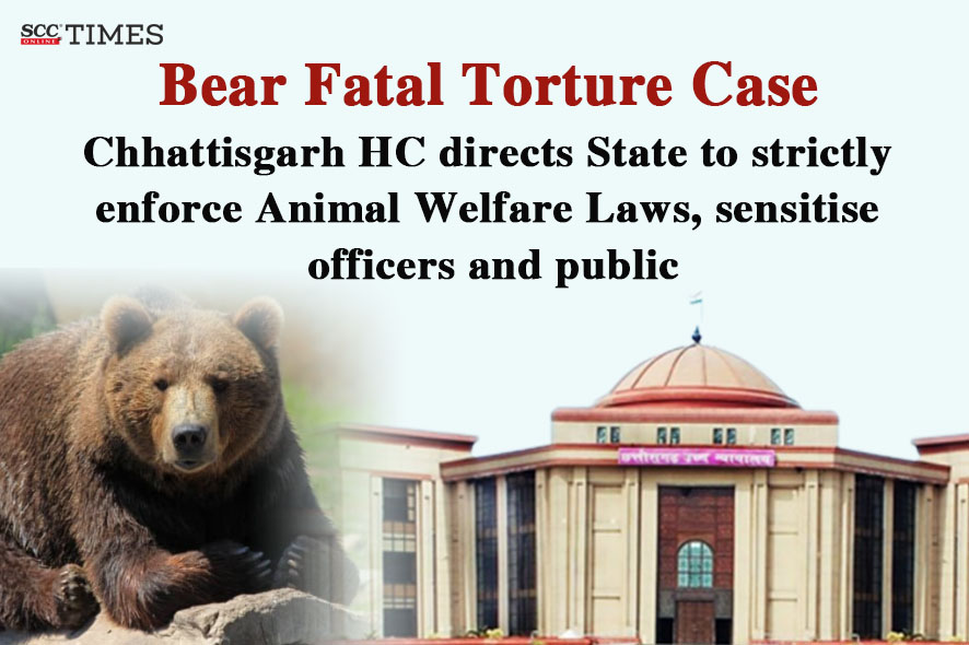 Chhattisgarh HC directs Strict Enforcement of Animal Welfare Laws | SCC Times