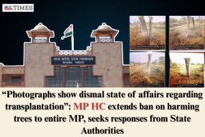 ban on harming trees extended to entire MP