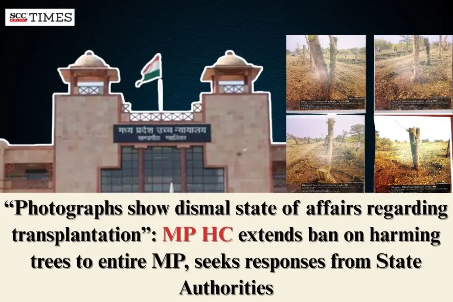 ban on harming trees extended to entire MP
