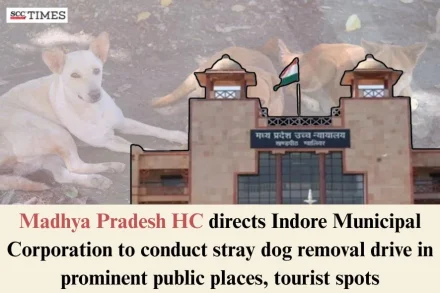 stray dog removal drive