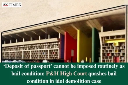 Deposit of passport bail condition