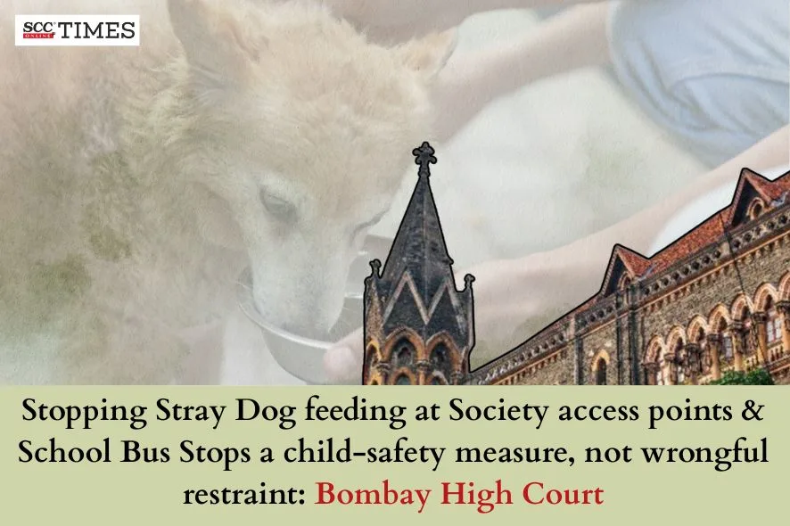 Stray Dog feeding