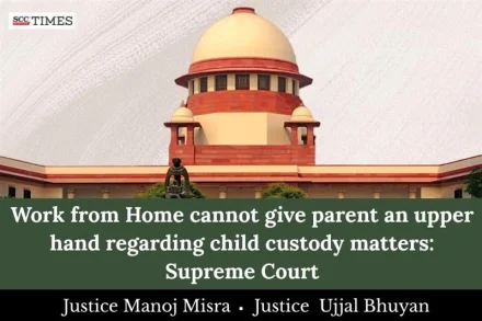 Work from Home and child custody cases